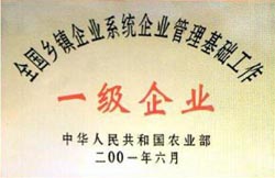 全國鄉(xiāng)鎮(zhèn)一級企業(yè)